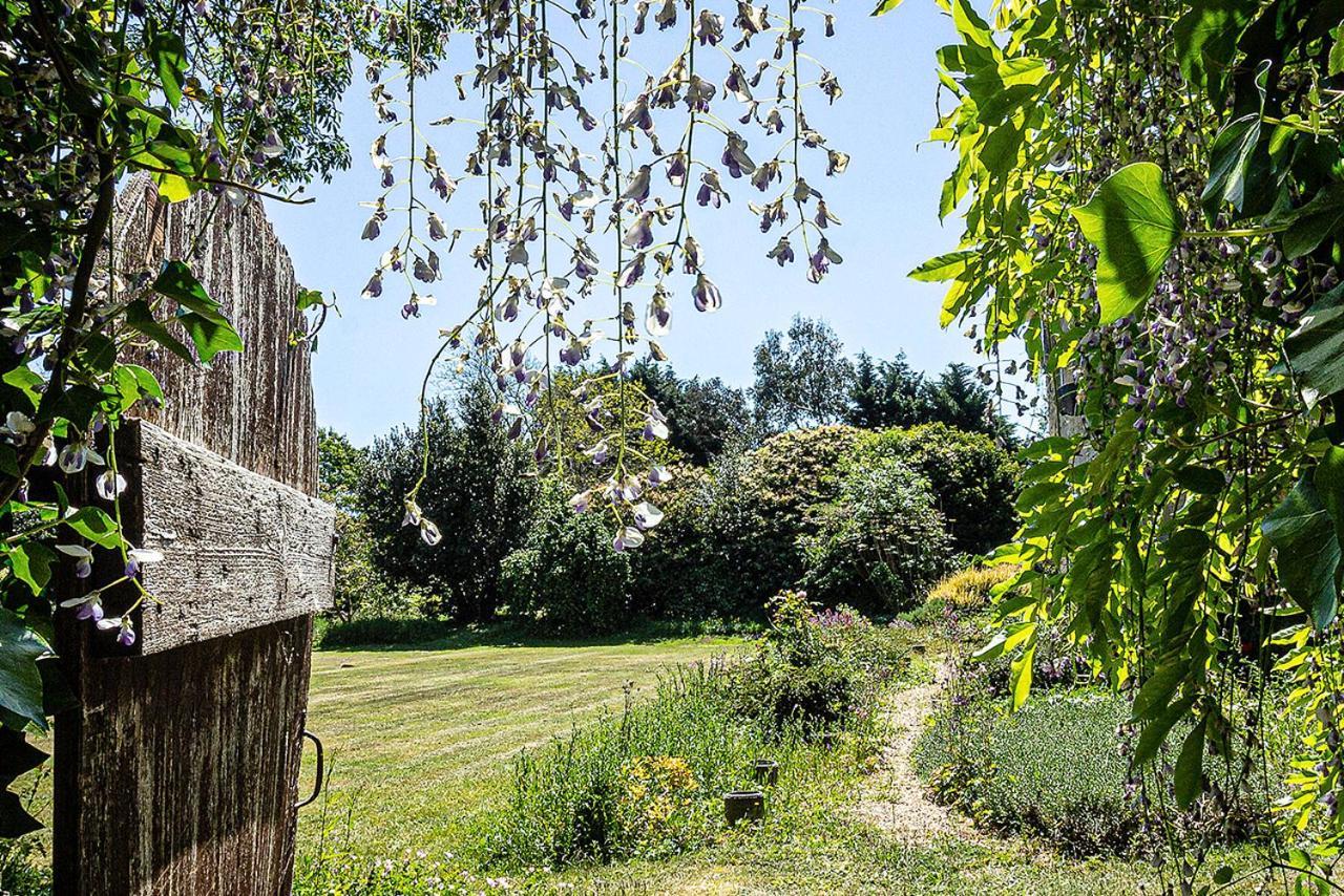 Cosy Wolf Bed & Breakfast Freshwater Buitenkant foto